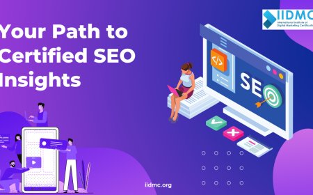 Your Path to Certified SEO Insights