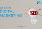 The Role of an SEO Expert in Modern Digital Marketing