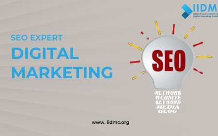 The Role of an SEO Expert in Modern Digital Marketing