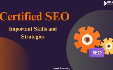 Certified SEO: Important Skills and Strategies