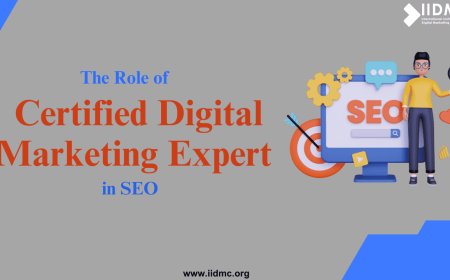 The Role of Certified Digital Marketing Expert in SEO
