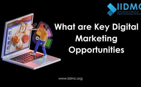What are Key Digital Marketing Opportunities