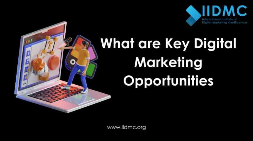 What are Key Digital Marketing Opportunities