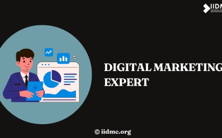 Digital Marketing Expert: Roles, Skills, and Growth