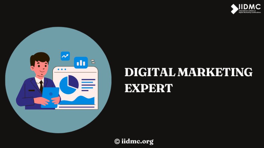 Digital Marketing Expert: Roles, Skills, and Growth