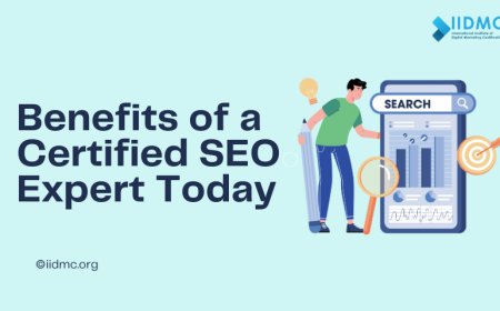 Top Benefits of a Certified SEO Expert Today