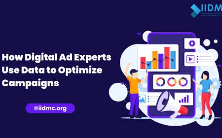 How Digital Ad Experts Use Data to Optimize Campaigns