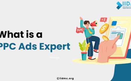 What is a PPC Ads Expert?