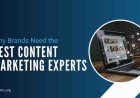 Why Every Brand Needs the Best Content Marketing Professionals