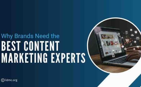 Why Every Brand Needs the Best Content Marketing Professionals